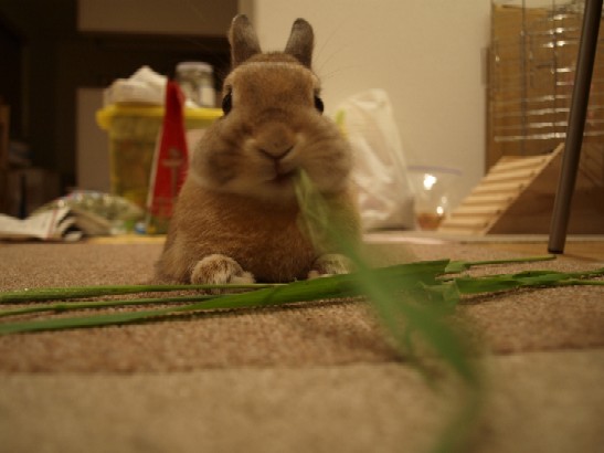 20080626 002.jpg