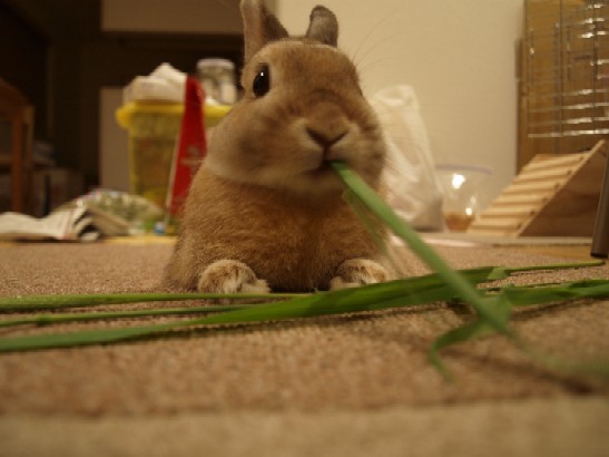 20080626 003.jpg